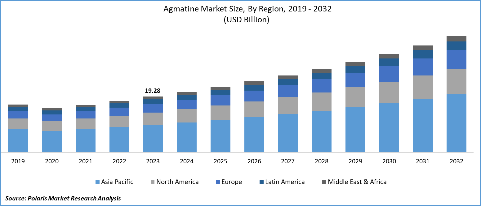 Agmatine Market Size